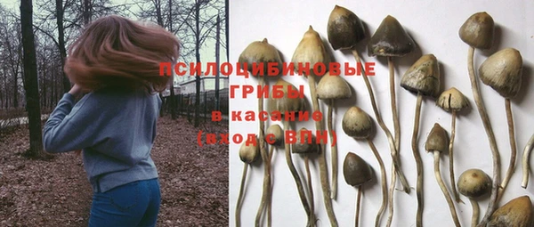 метадон Алзамай