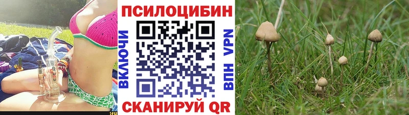 где купить наркоту  Родники  kraken как зайти  Галлюциногенные грибы GOLDEN TEACHER 